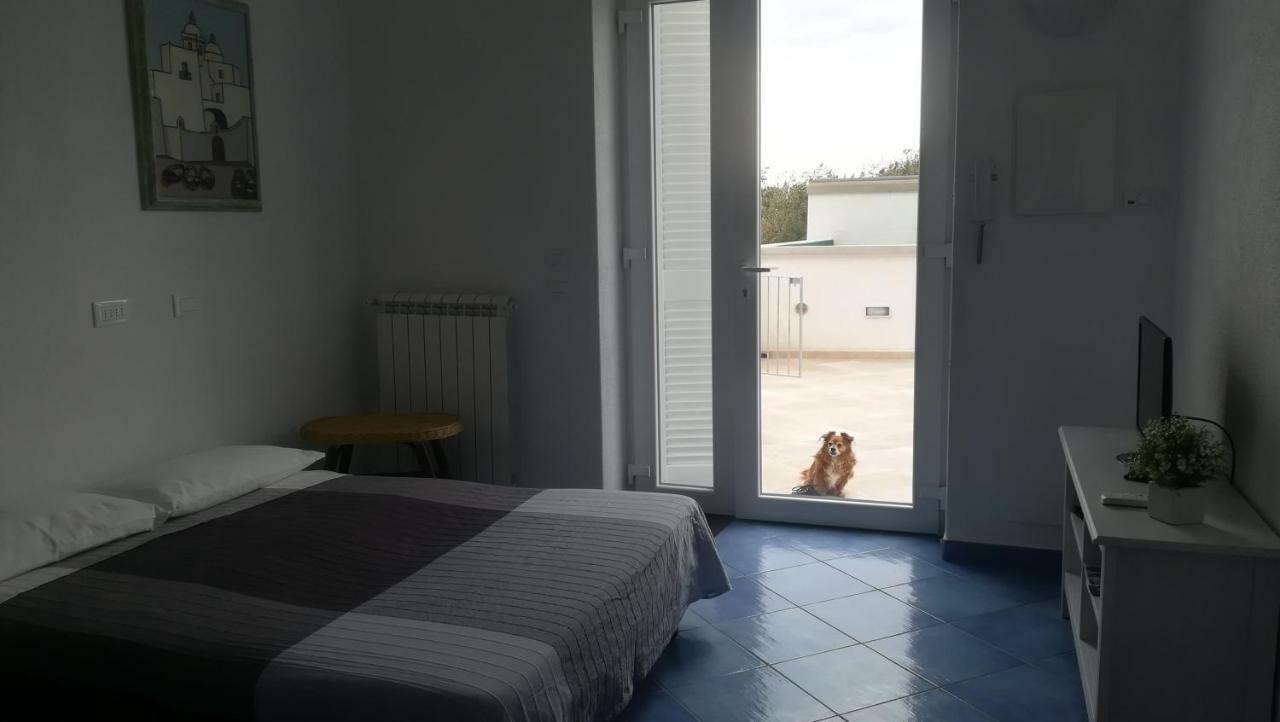 Citara Mare Villa Forio di Ischia Buitenkant foto
